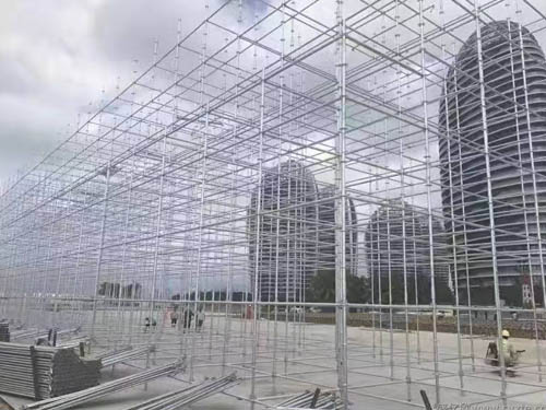 ֱ�i�A�P�r��